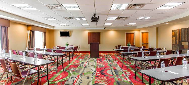 亚特兰大南斯托克布里奇舒适套房酒店(Comfort Suites Stockbridge Atlanta South)图片