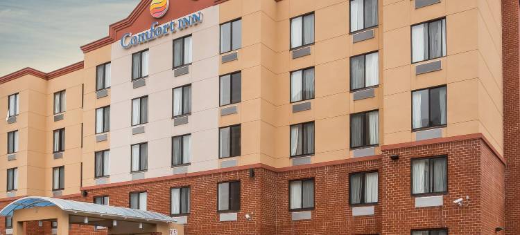 舒适酒店(Comfort Inn)图片