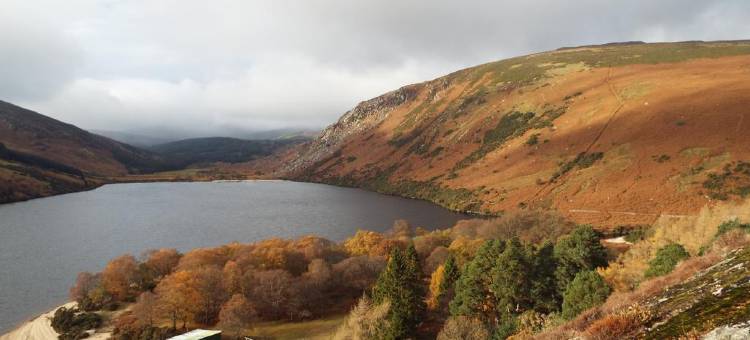 丹湖楼住宿加早餐旅馆(Lough Dan House)图片