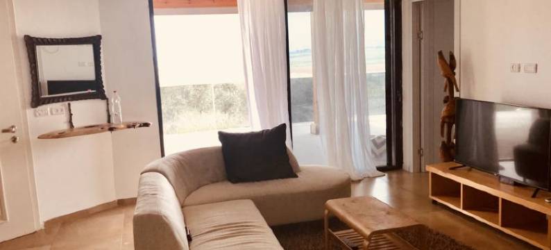 豪华公寓(Luxury Apartments)图片