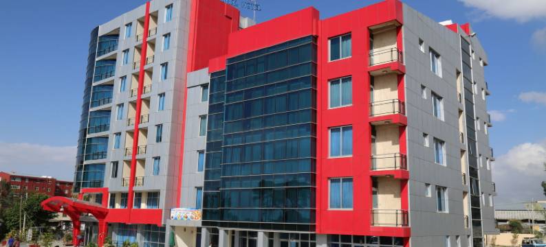 阿法南猿国际大酒店(Afarensis International Hotel)图片