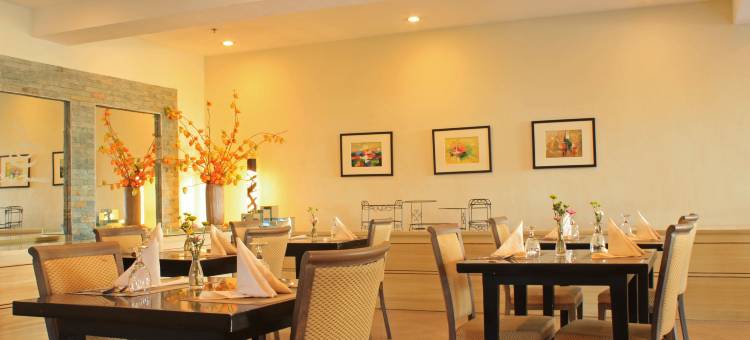品尼高套房酒店(The Pinnacle Hotel and Suites)图片