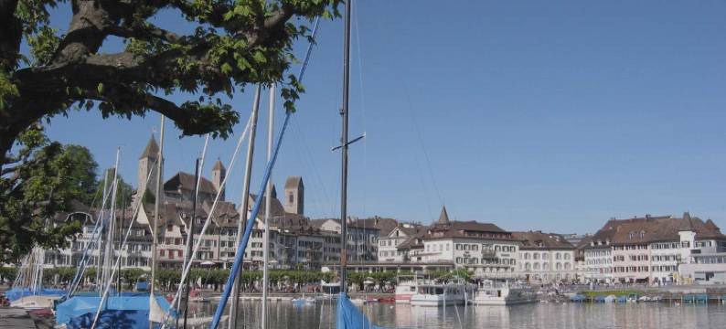 豪申拉珀斯维尔越纳酒店(Hotel Hirschen Rapperswil-Jona)图片