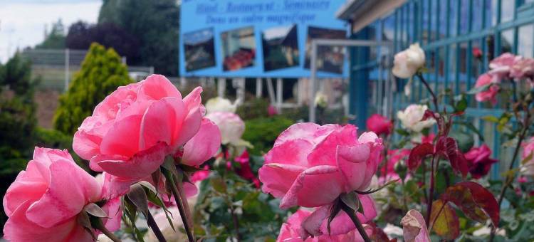 艾普花园餐厅酒店(Hotel Restaurant les Jardins d'Epône)图片