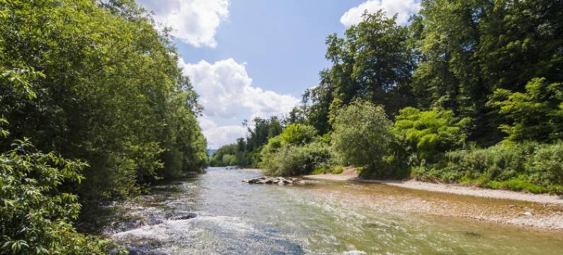 Hotel & Restaurant Hofmatt图片