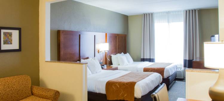大急流城南舒适套房酒店(Comfort Suites Grand Rapids South)图片
