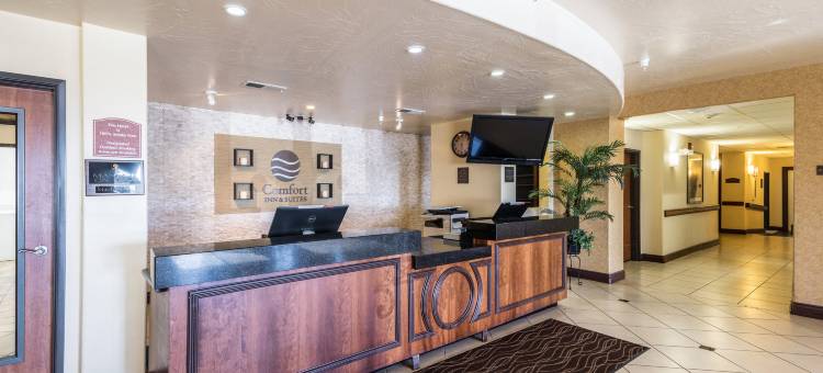 舒适套房(Comfort Inn & Suites)图片