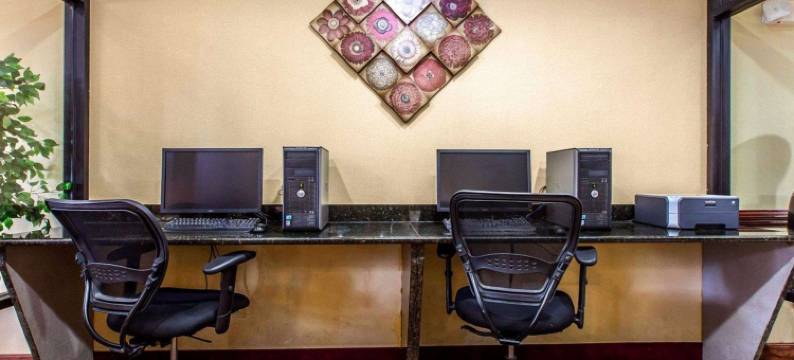 舒适套房酒店(Comfort Suites)图片