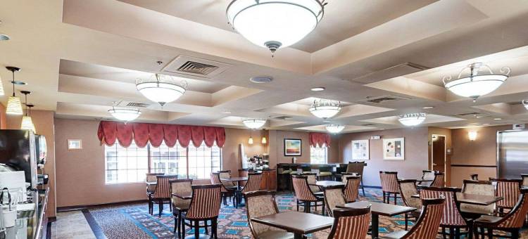 达勒斯机场舒适套房酒店(Comfort Suites Dulles Airport)图片