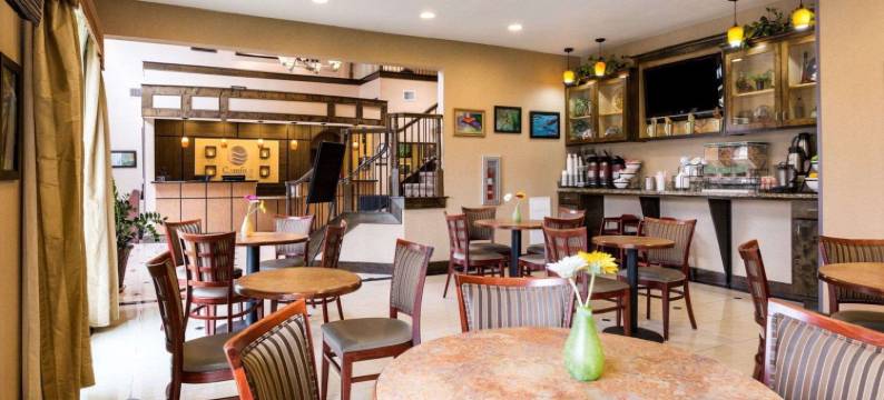 舒适套房酒店(Comfort Inn & Suites)图片