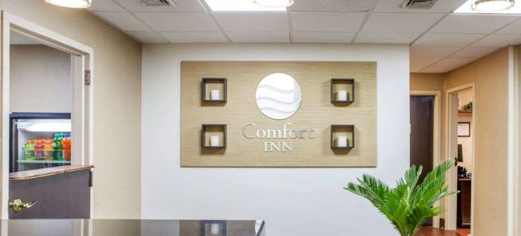 皇家之蓝舒适酒店(Comfort Inn at Royal Blue)图片