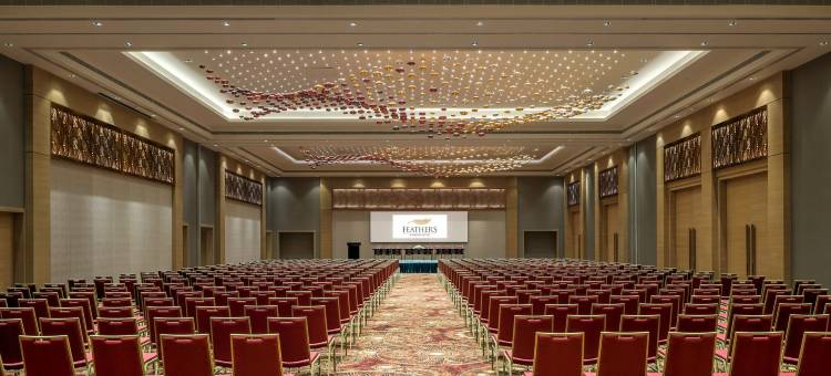 金奈羽毛拉达酒店(Feathers - A Radha Hotel Chennai)图片