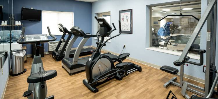 波波的舒适酒店套房(Comfort Inn & Suites)图片