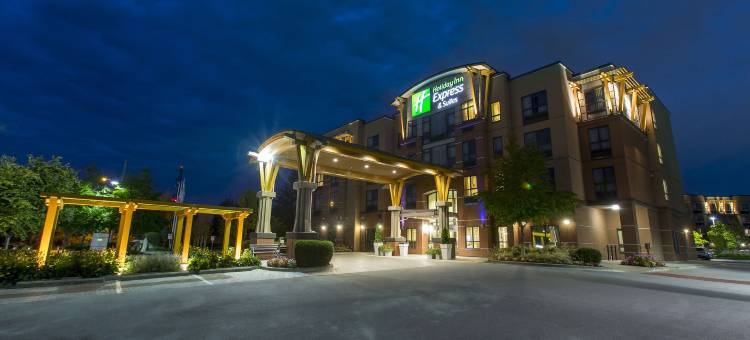 里弗波特列治文智选假日套房酒店(Holiday Inn Express & Suites Riverport Richmond)图片