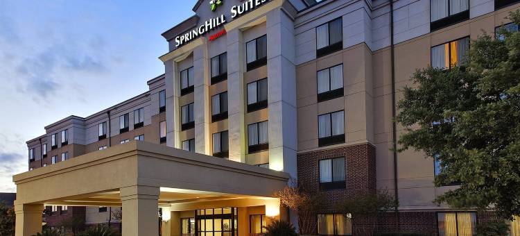 奥斯汀帕默/科技岭万豪SpringHill酒店(SpringHill Suites Austin Parmer/Tech Ridge)图片