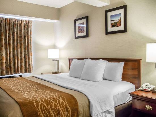 Comfort Inn Suites Wilkes Barre Arena Wilkes Barre Hotel