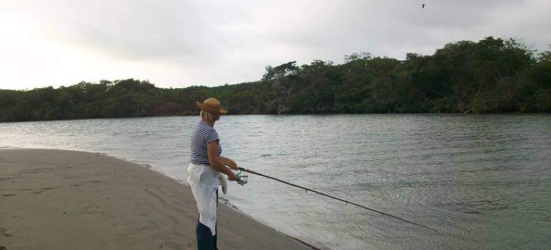 海景小屋(Hostal Cabañas Vistamar)图片