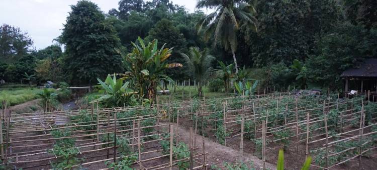 德弗优别墅(Villa de View Chiang Dao)图片