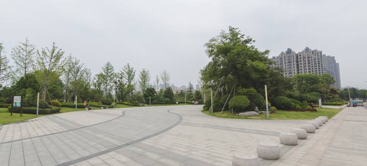 青皮树酒店(徐州高铁站店)图片