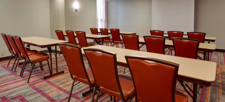 特雷霍特德鲁里套房酒店(Drury Inn & Suites Terre Haute)图片