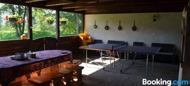 Pensiunea Irina图片