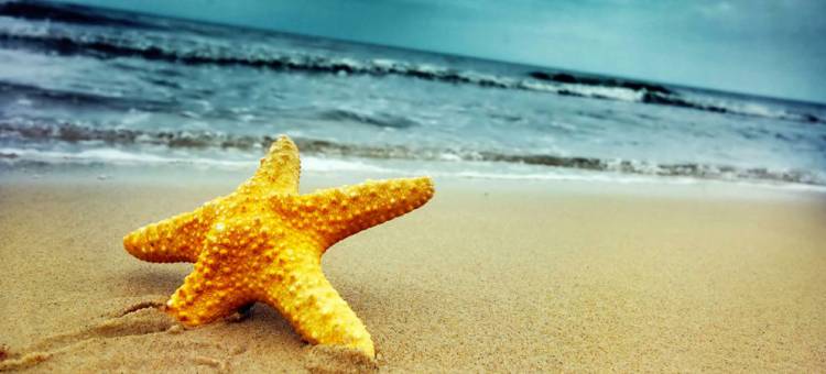 博纳星辰酒店(Bonne Etoile)图片