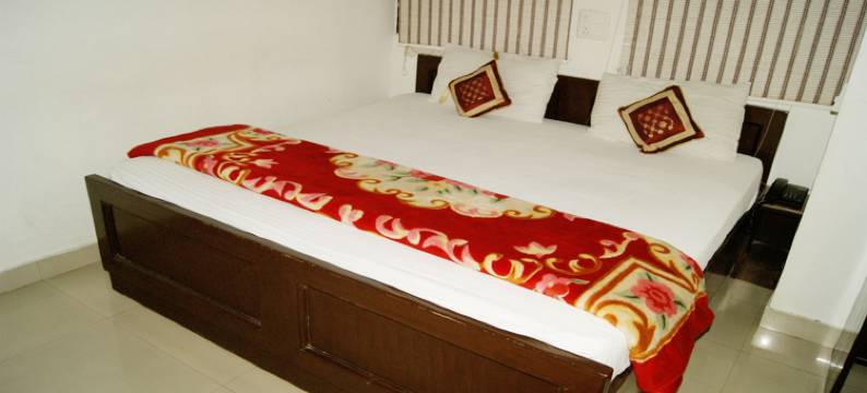 马克斯福尔特德里旅馆(Maxfort Guest House Delhi)图片