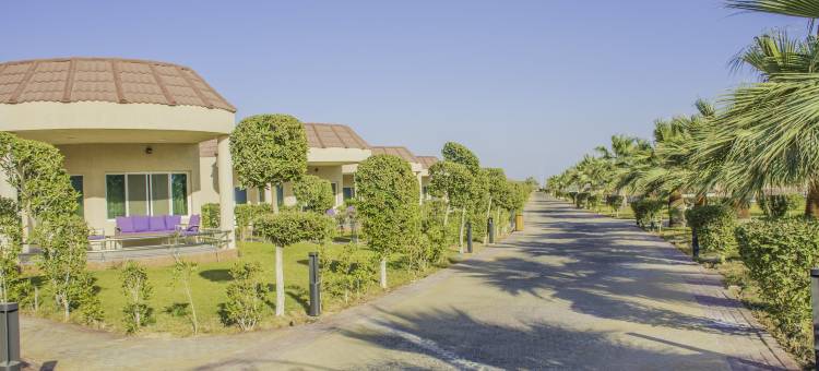 阿尔科巴尔半月湾丽笙度假村(Radisson Blu Resort Al Khobar Half Moon Bay)图片