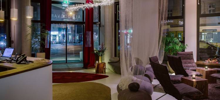 Numa Berlin Boxer图片