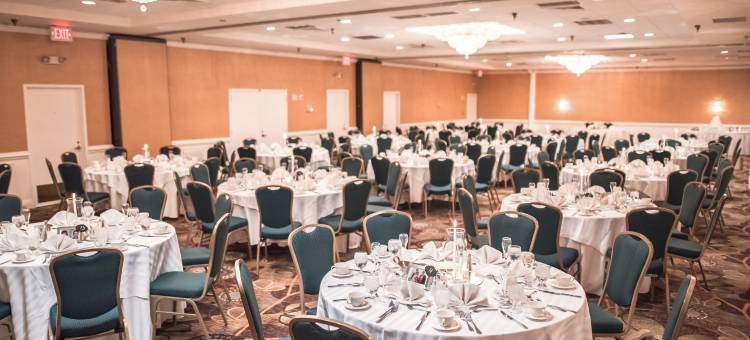 Holiday Inn 阿灵顿的AT巴尔斯顿(Holiday Inn Arlington at Ballston)图片