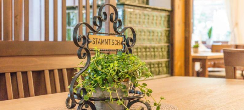 翰心格酒店(Hotel Gasthof Hainzinger)图片