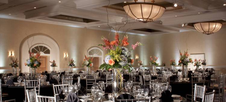 圣安东尼奥广场酒店及水疗 - 傲途格精选(Plaza San Antonio Hotel & Spa, Autograph Collection)图片