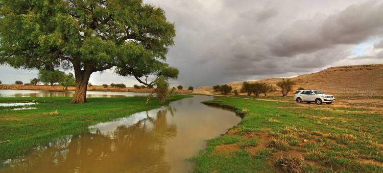 苏亚加尔杰伊瑟尔梅尔酒店(Suryagarh Jaisalmer)图片