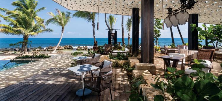 多拉多海滩丽思卡尔顿度假酒店(Residences at Dorado Beach, a Ritz-Carlton Reserve)图片