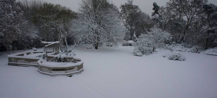 克拉维顿乡间别墅酒店(Claverton Hotel)图片