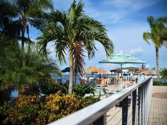 Hotels In Tampa >> Tampa Hotels Where To Stay In Tampa Trip Com Hotels In Tampa >> Tampa Hotels Where To Stay In Tampa Trip Com