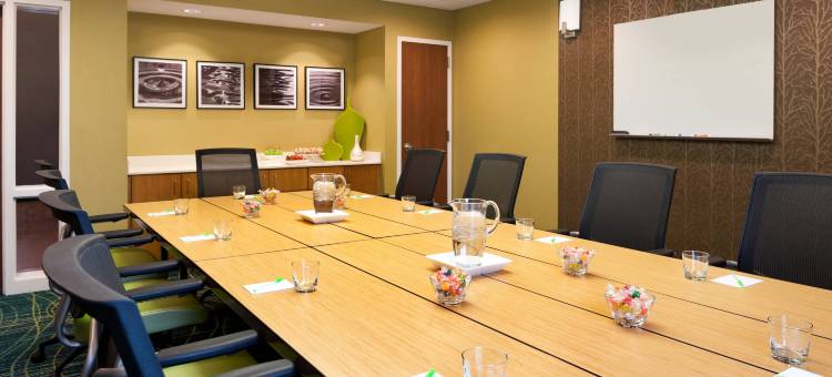 杰克逊北/理奇兰万豪SpringHill酒店(SpringHill Suites Jackson Ridgeland/The Township at Colony Park)图片