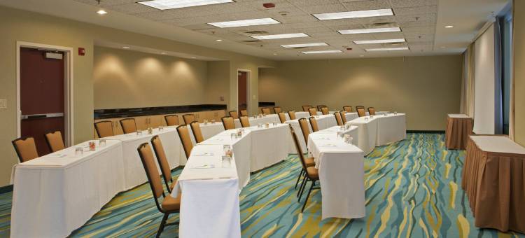 芝加哥奥黑尔万豪SpringHill套房酒店(SpringHill Suites Chicago O'Hare)图片