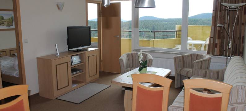 上哈茨全景假日公寓(Panoramic Apartments Hohegeiß)图片
