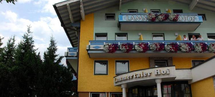 拉姆尔塔乐豪弗酒店(Lammertalerhof)图片