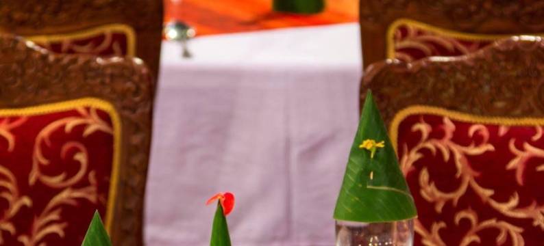 札萨维度假村(Chanthavinh Resort and Spa)图片