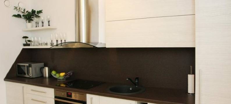 帕内韦日斯公寓(Apartments Panevezys)图片