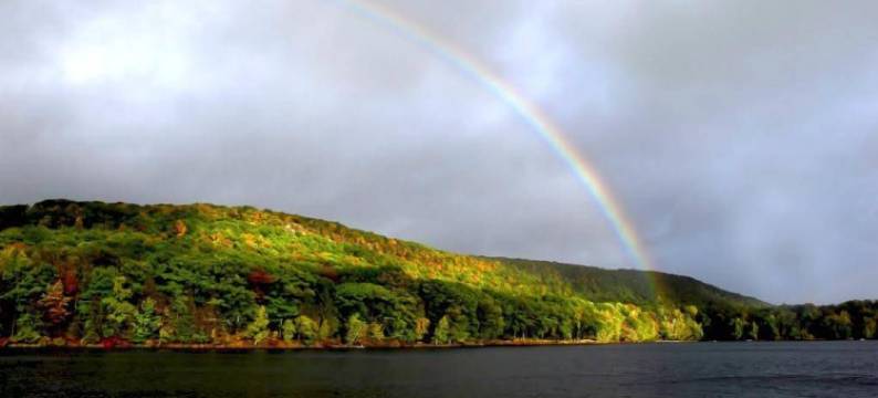 伍德罗克松树度假酒店(Woodloch Pines Resort)图片