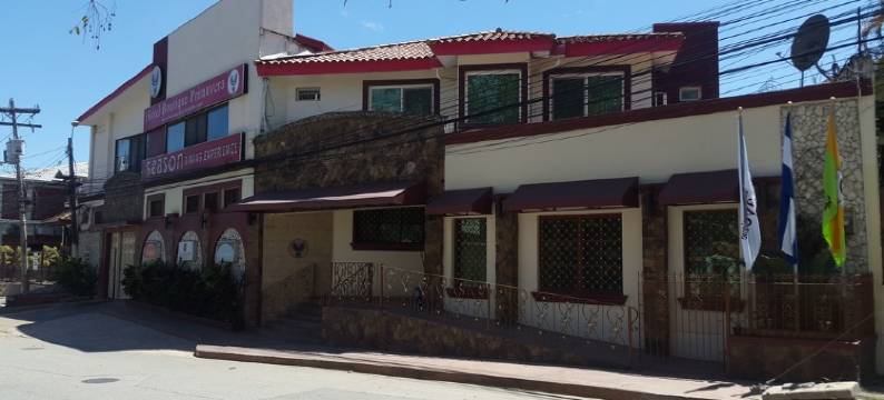 春天精品酒店(Hotel Primavera Boutique)图片