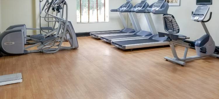 智选假日套房酒店奥兰治城(Holiday Inn Express & Suites Orange City - Deltona)图片