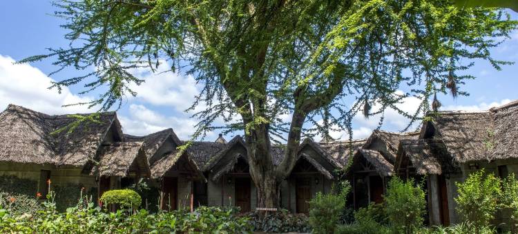 阿鲁萨塞雷纳酒店(Arusha Serena Hotel)图片