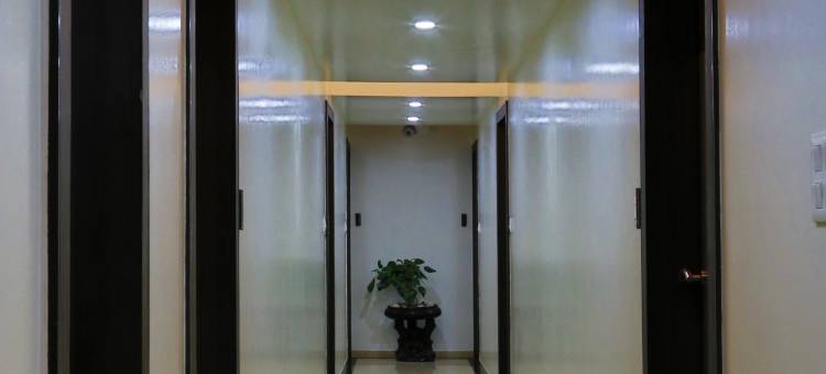 Hotel the Leaf图片