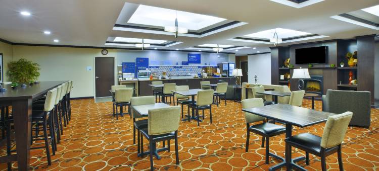 智选假日套房酒店华盛顿(Holiday Inn Express & Suites Washington - Meadow Lands)图片