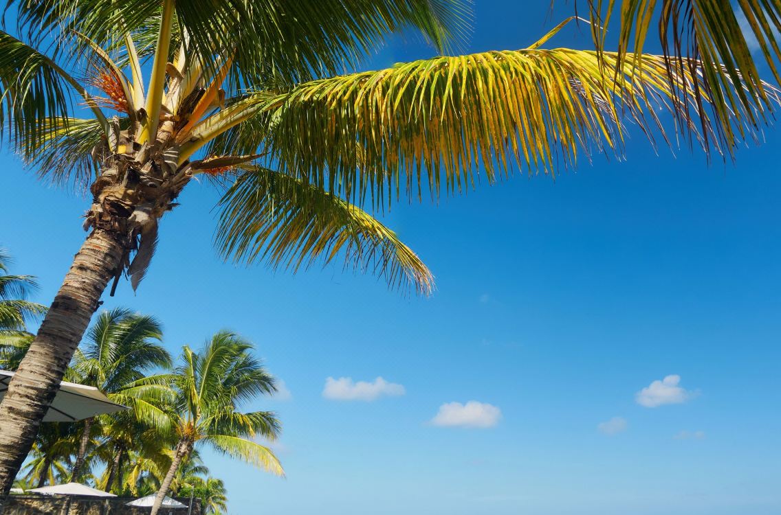 Bel Azur Beach Residence By Lov Mauritius Hotel Reviews And - 