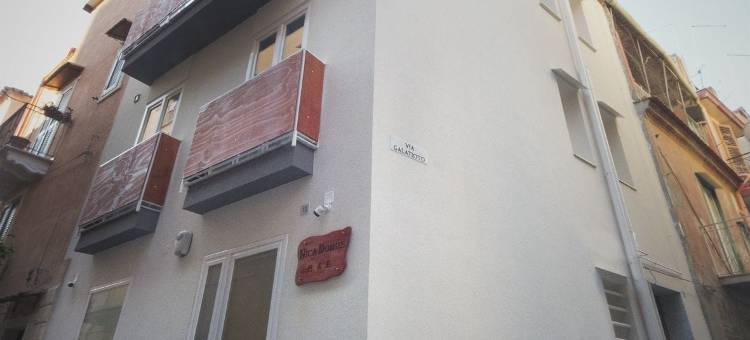 妮卡之家家庭旅馆(NicaDomus B&B)图片